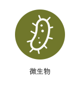 微生物